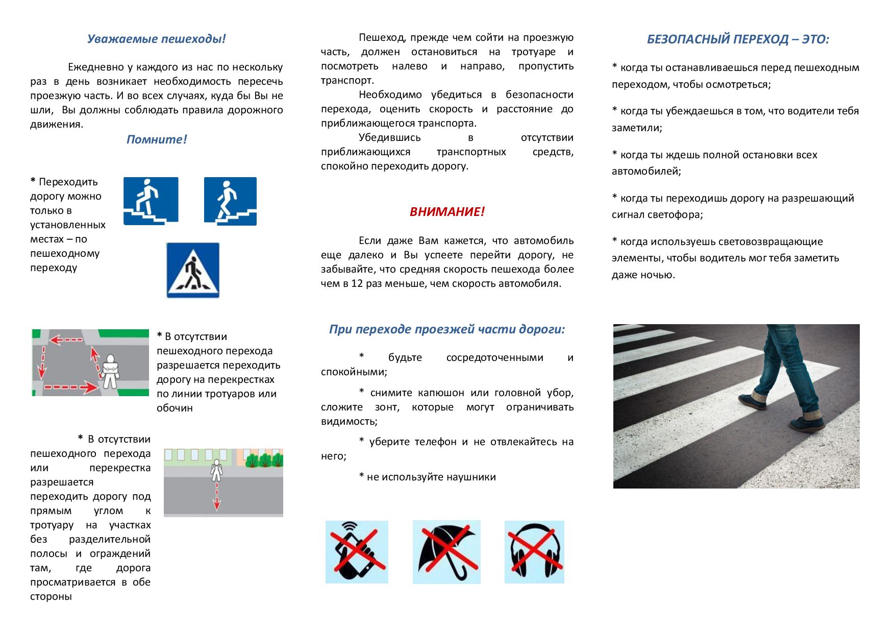 Дорожная безопасность